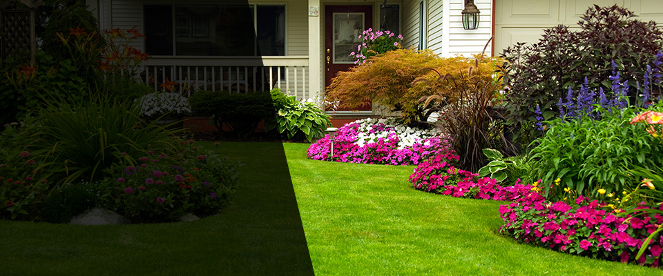 Summit Argo Landscapers