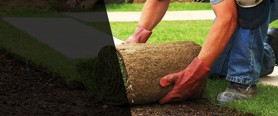 Summit Argo Landscapers